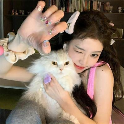彩色响尾蛇